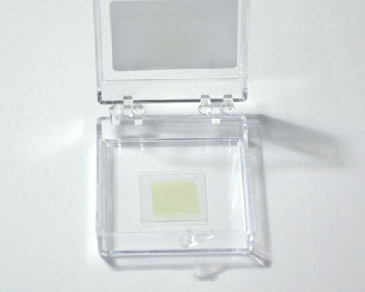 【巨納】基于柔性PET基底的單層連續(xù)二硫化鉬薄膜（10*10mm）