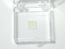 【巨納】基于藍(lán)寶石基底的三角形單層二硫化鉬（10*10mm）